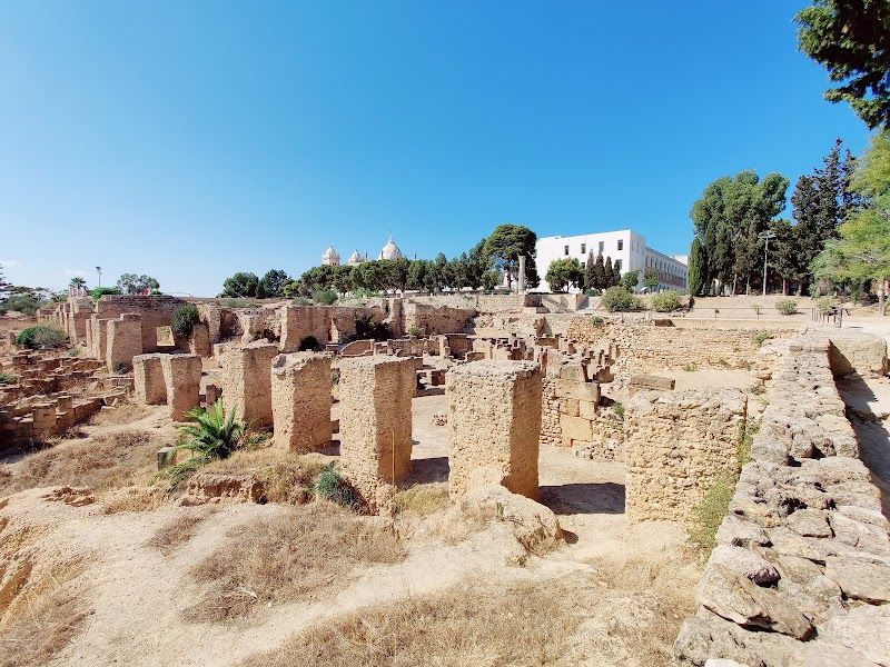 Discover the ruins of Carthage