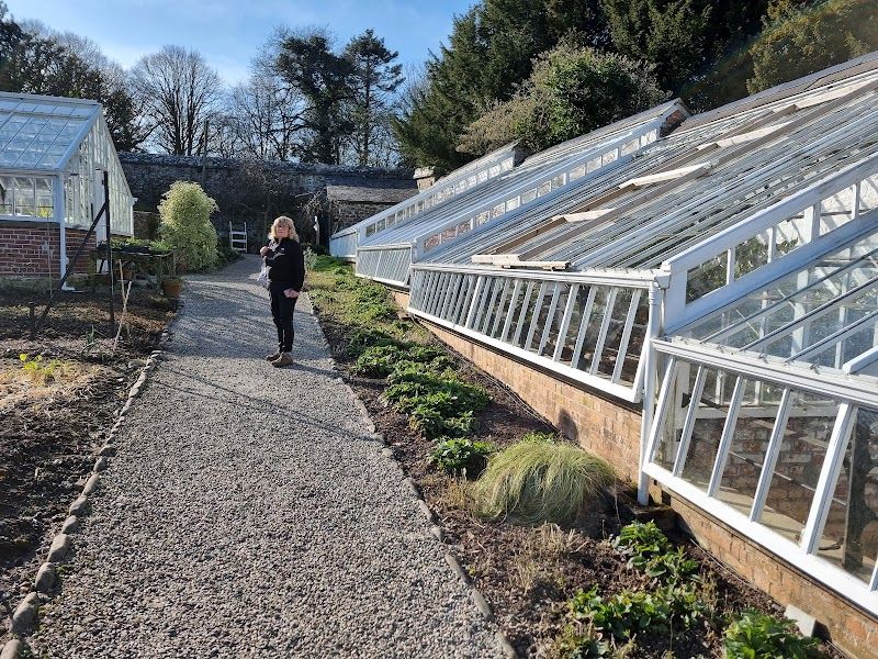 Tour Clovelly Court Gardens