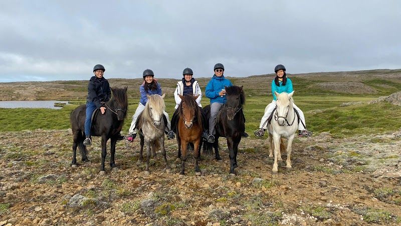 Horseback Riding with Icelandic Horses