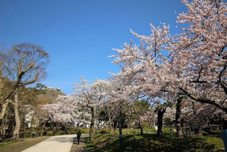 Hakodate Park - Hakodate - Japan