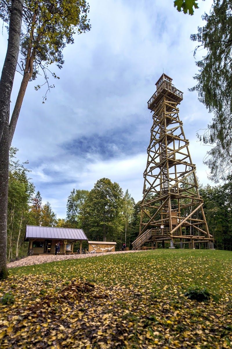 Aluksne Observation Tower