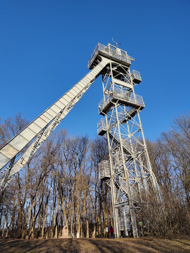 Vince Ranzinger Lookout