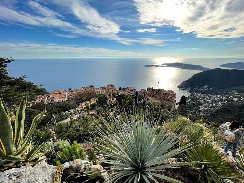 Stroll through the Exotic Garden of Monaco (Jardin Exotique)
