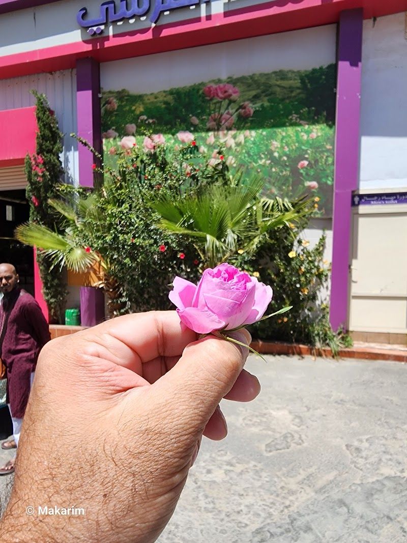 Taif Rose Gardens and Perfume Factories