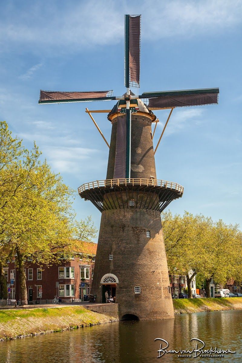 Explore the Historic Windmills of Schiedam