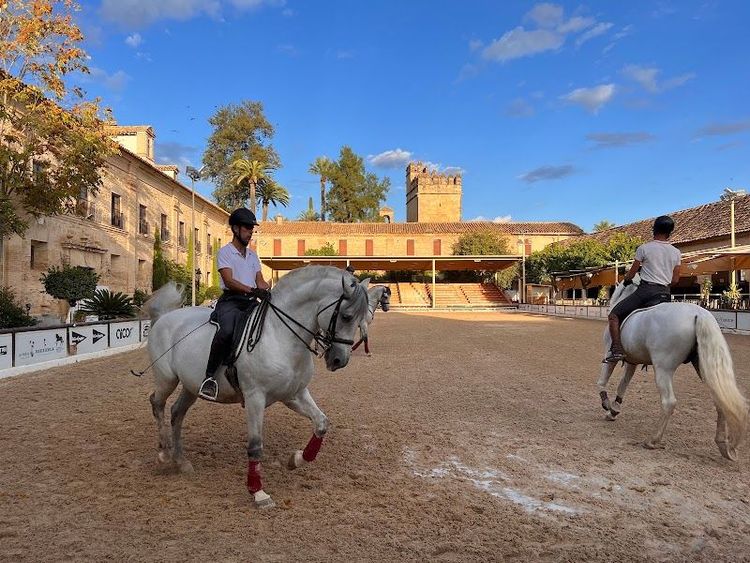 Córdoba Horseback Riding Experience - Córdoba - Spain