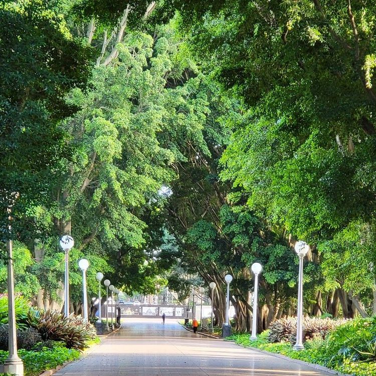 Hyde Park - Sydney - Australia