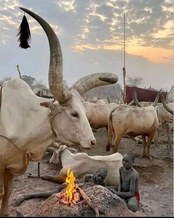 Juba Tours - Juba - South Sudan