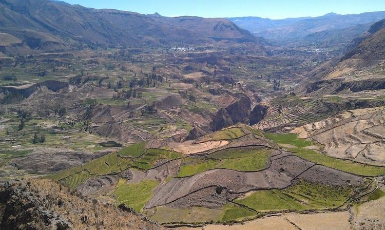 Visit the Colca Canyon to see condors - Arequipa - Peru