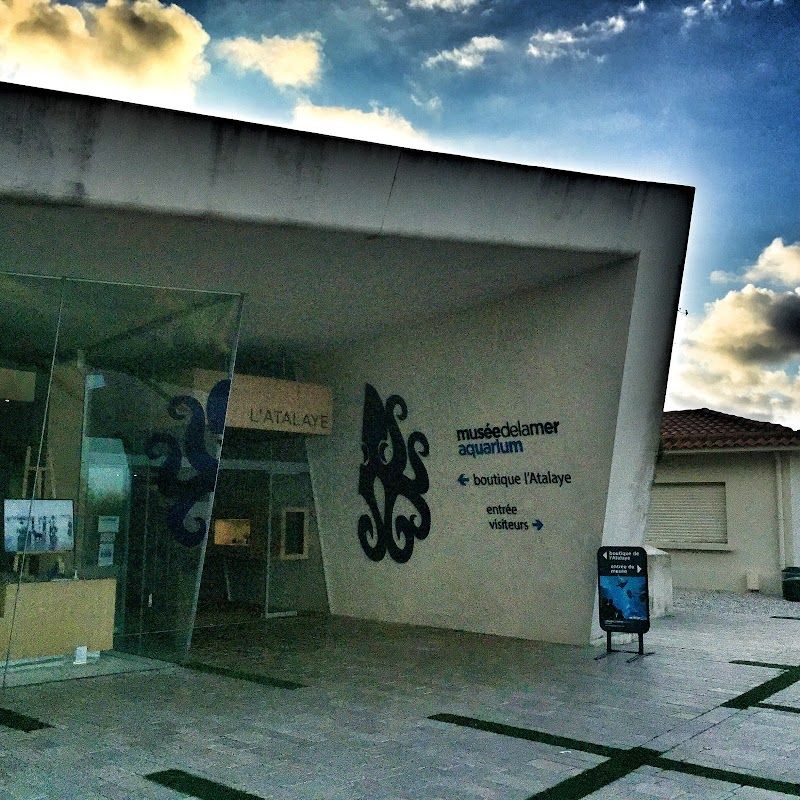 Visiting the Biarritz Aquarium (Musée de la Mer)