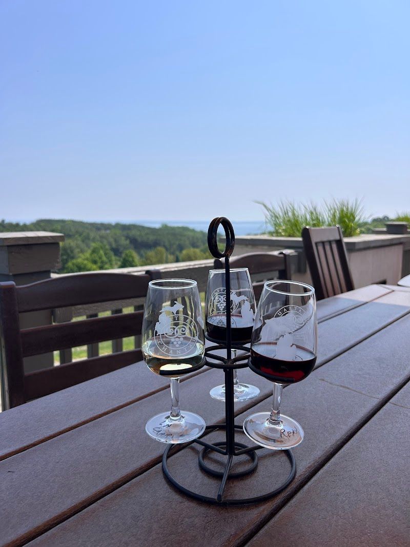 Wine Tasting on the Old Mission Peninsula