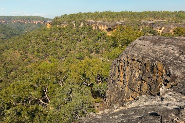 Jarramali Rock Art Tours - Laura - Australia