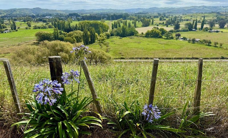 Wairoa Lookout