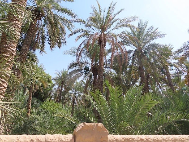 Al Ain Oasis