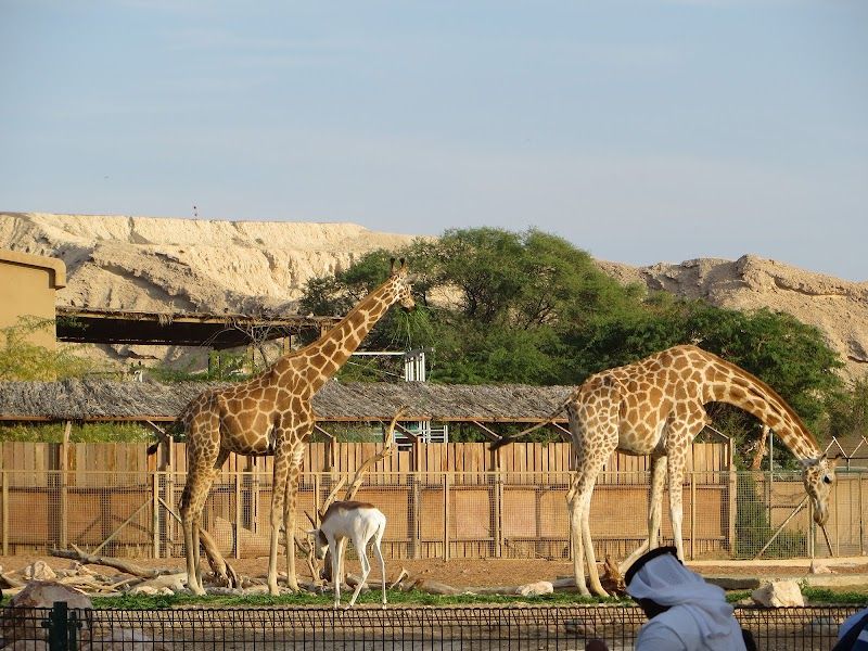 Al Ain Zoo