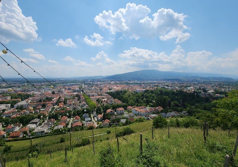 Take a walk through Maribor City Park and Pyramid Hill
