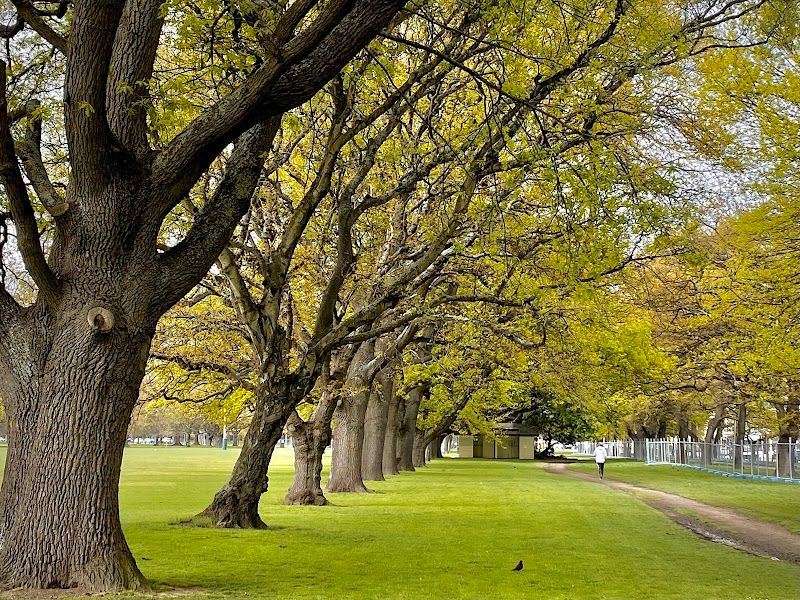 Hagley Park