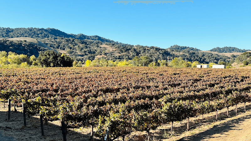 Enjoy wine tasting at local wineries in the Santa Ynez Valley