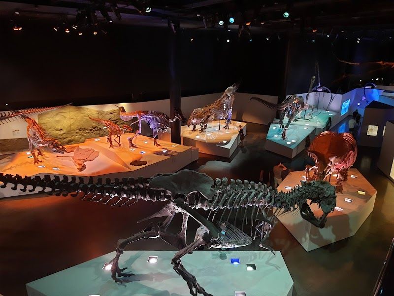 Houston Museum of Natural Science