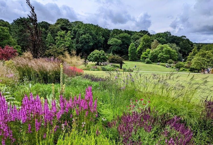 RHS Garden Harlow Carr - Harrogate - United Kingdom