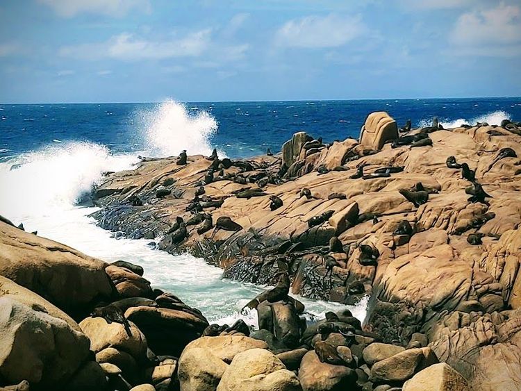 Enjoy Stargazing with Minimal Light Pollution - Castillos - Uruguay