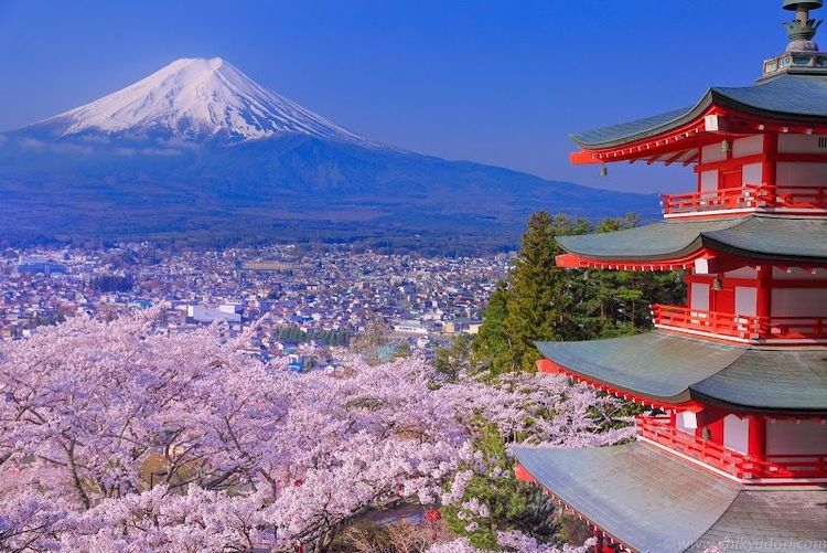 Chureito Pagoda at Arakurayama Sengen Park - Fujiyoshida - Japan