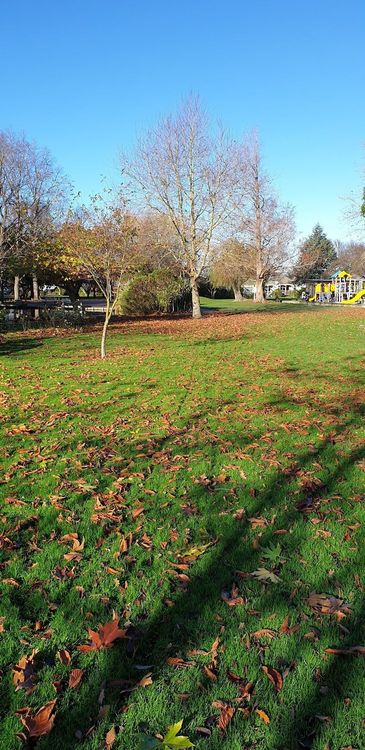 Naish Park - Balclutha - New Zealand