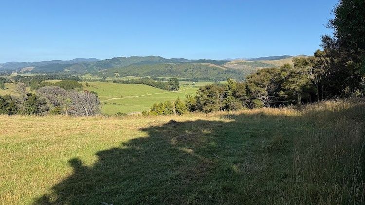 Fensham Reserve - Carrington - New Zealand