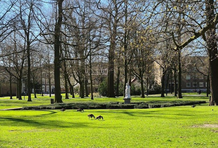 Stroll through Valkenberg Park - Breda - Netherlands