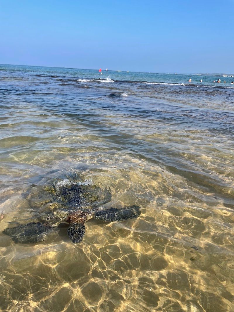 Turtle Beach Hikkaduwa