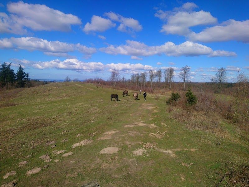 Hike in Svanninge Bakker (The Funen Alps)