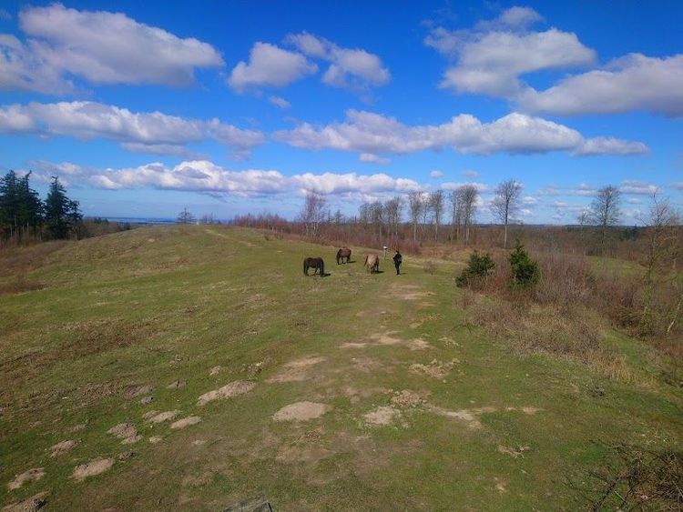 Hike in Svanninge Bakker (The Funen Alps) - Faaborg - Denmark