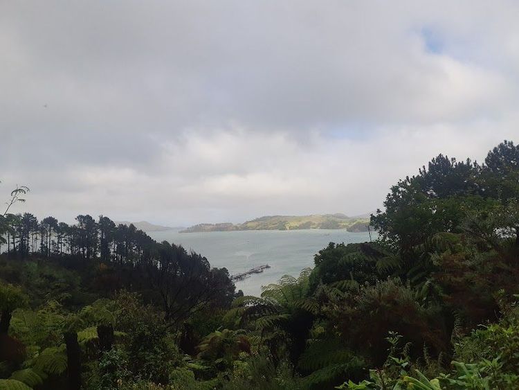 Kauri Block - Coromandel - New Zealand