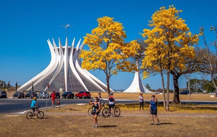 Explore the Cathedral of Brasília - Brasília - Brazil