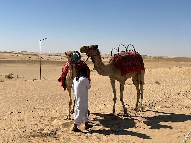 Desert Safari in the Empty Quarter - Abu Dhabi - United Arab Emirates