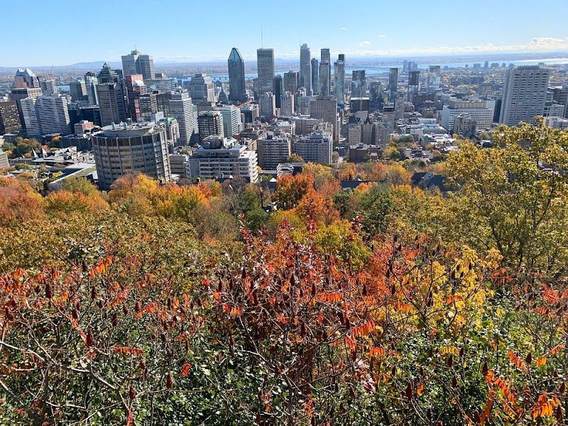 Visit Mount Royal Park (Parc du Mont-Royal)