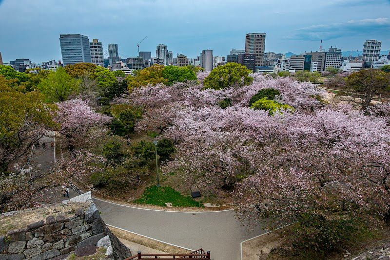 Fukuoka Castle Ruins in Maizuru Park