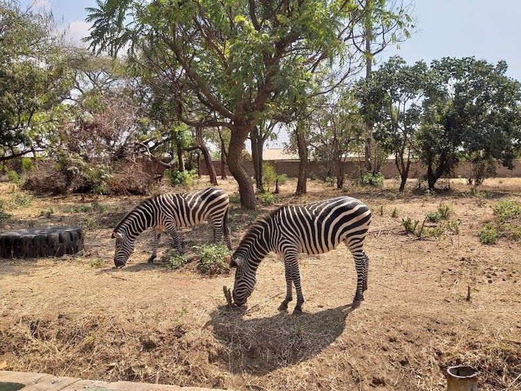 Explore Munda Wanga Environmental Park - Chilanga - Zambia