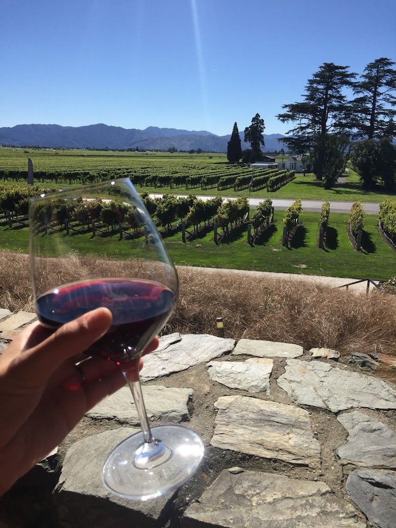Wine Tasting in Marlborough Wine Region