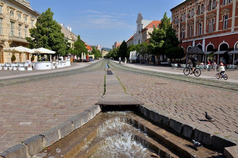 Explore the Old Town and Hlavná Street