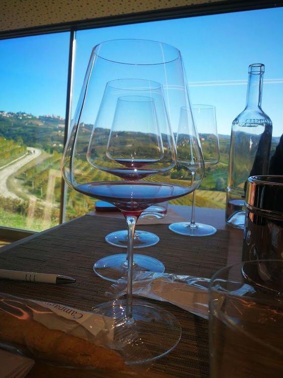 Wine Tasting in Langhe Vineyards - Alba - Italy