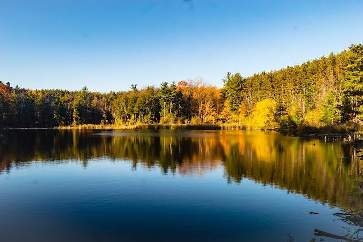 Huron Natural Area - Kitchener - Canada