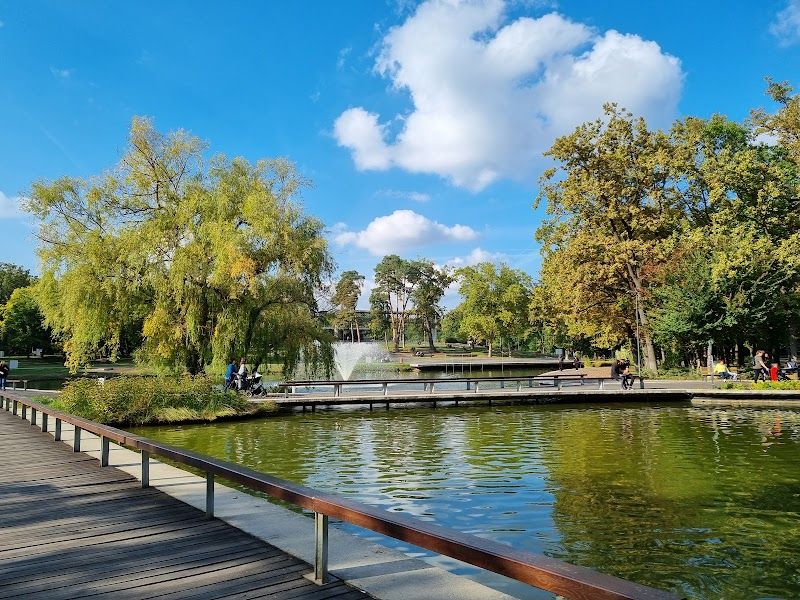 Explore the Great Forest Park (Nagyerdő)