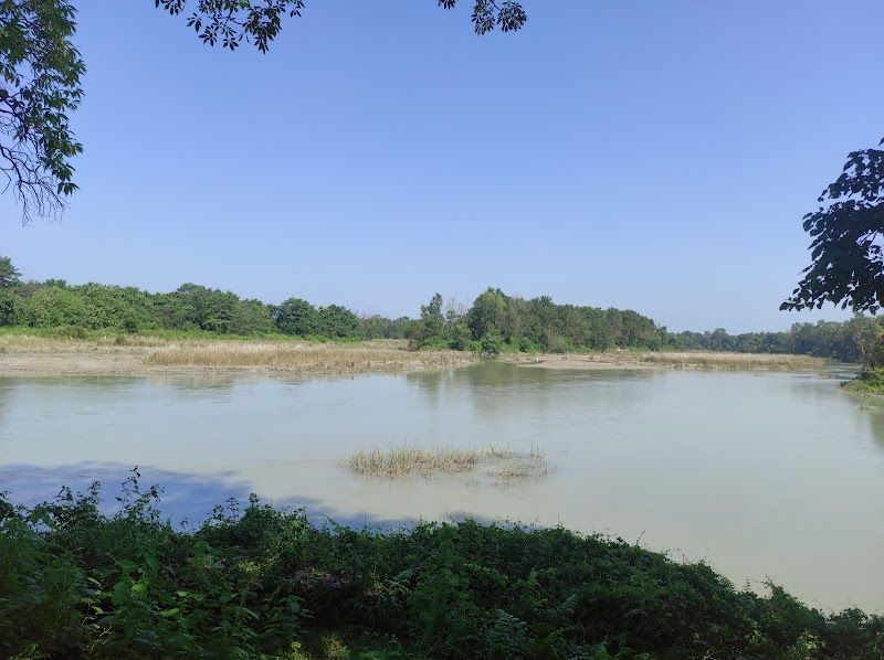 Explore Koshi Tappu Wildlife Reserve