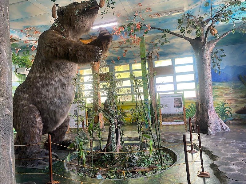 Guyana National Museum