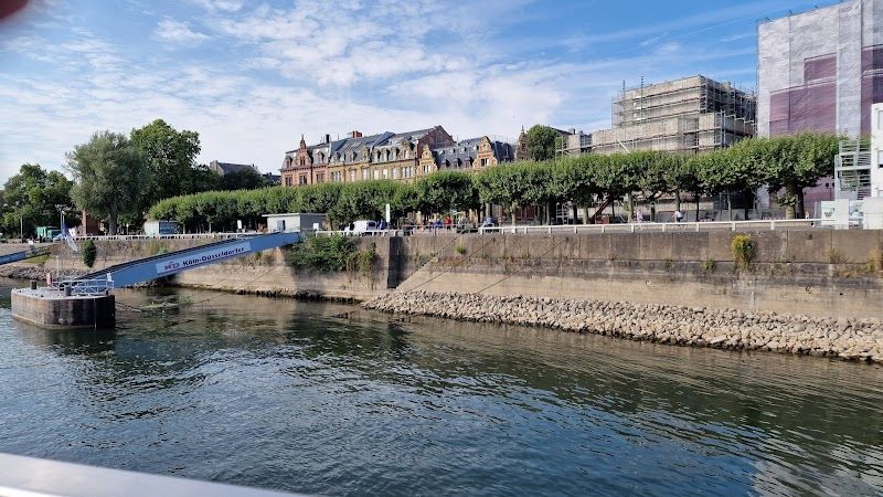Stroll along the Rhine River Promenade