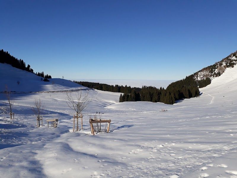 Schuttannen Hiking and Skiing Area