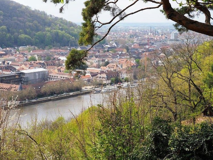Stroll along the Philosophers Walk Philosophenweg - Heidelberg - Germany