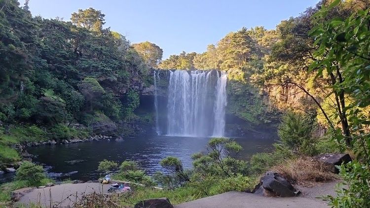 Rainbow Falls Waianiwaniwa - Kerikeri - New Zealand