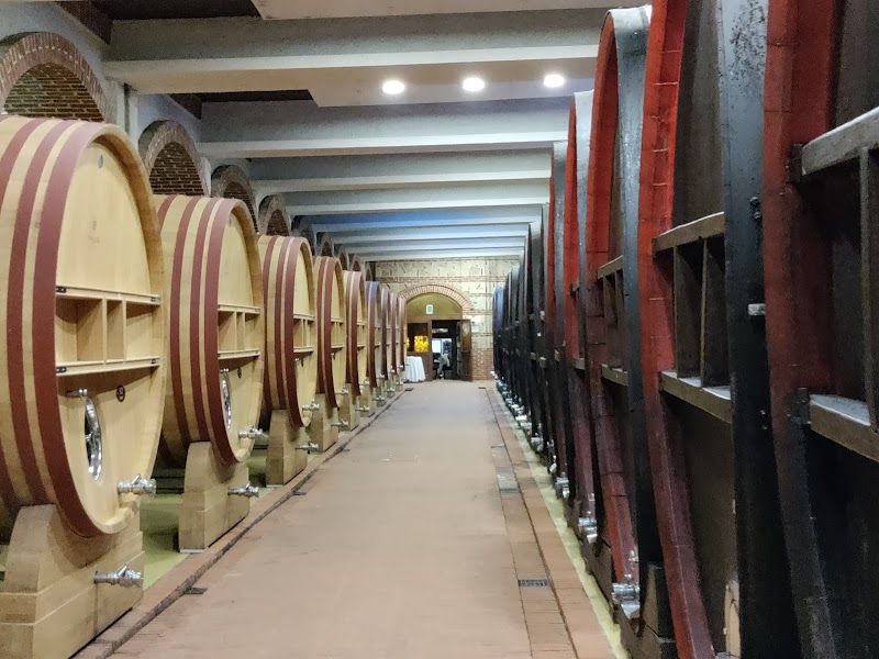 Explore the Tikveš Wine Region